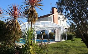 B&B Villa Vale Flores